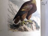 un livre ouvert avec l'image d'un oiseau dessus