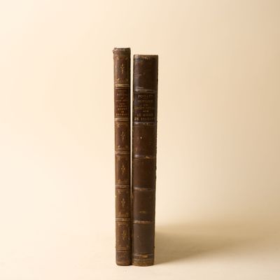 deux vieux livres posés l'un sur l'autre sur une surface blanche
