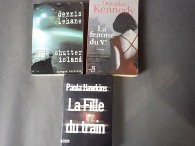 Lot de 3 volumes, romans noirs, la fille du train, la femme …