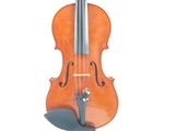 an image of a violin with a bow on a white background