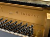 a close up of the keys on a piano