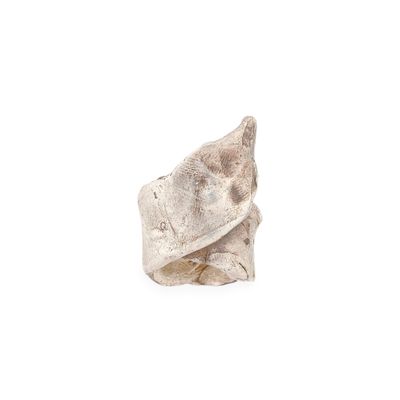 une image représentant une sculpture représentant un coquillage sur une surface blanche
