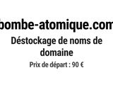 Photo 1/1 du lot