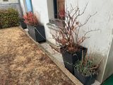 two planters that are on the side of a building