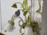 a plant that is growing out of a vase on the window sill