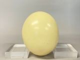 une boule jaune posée sur un socle transparent