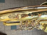 a person holding a brass instrument in their hand