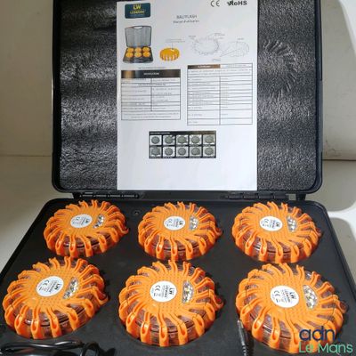 une boîte contenant six fleurs en plastique orange