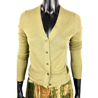une photo d'un mannequin portant une jupe dorée et un gilet