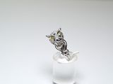 a silver ring with a bird sitting on top of it