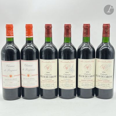 4 B CHÂTEAU SEGUR DE CABANAC (3 B.G. ; 1 T.L.B. ; 2 e.t.a.), Saint-Est - Photo 1