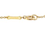 a close up of a gold chain with a dog tag on it