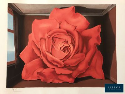 peinture représentant une rose rouge dans une boîte en bois sur fond blanc