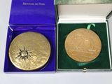 a gold medal in a blue box on a white surface