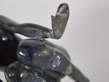 a statue of a man holding a butterfly in his hand