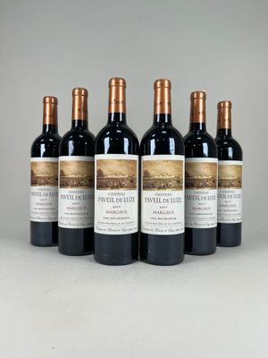 six bouteilles de vin rouge sont alignées