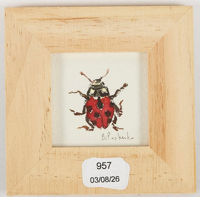 une photo d'une photo représentant une coccinelle dans un cadre
