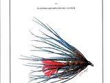 the cover of the book mouches a trute de mer