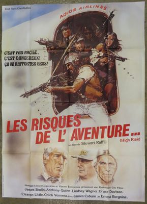 a poster for the movie les risques de l ' adventure