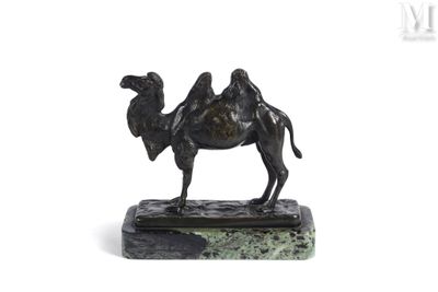 bronze sculpture of a camel on a marble base on a white background