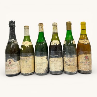 six bouteilles de vin sont alignées sur une surface blanche