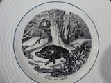 a plate with a picture of a bear on it