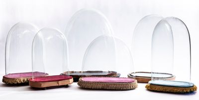 quatre cloches en verre posées sur une table