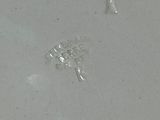 a white plate with a small piece of food on it