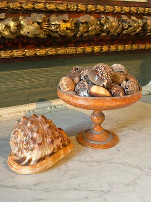 a bowl of shells sitting on a table next to a bowl of shells