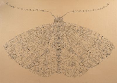 a drawing of a butterfly on a piece of paper