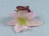 a pink flower that is sitting on a table