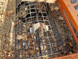 un chat qui se trouve dans une cage posée par terre