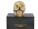 a skull sitting on top of a box on a white surface