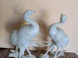 deux oiseaux blancs posés sur une table