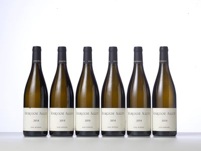 six bottles of white wine lined up in a row