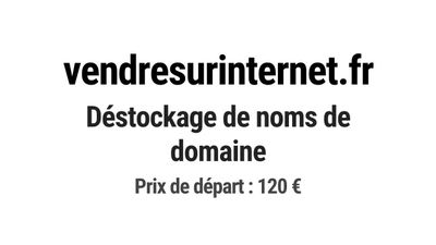 Nom de domaine vendresurinternet.