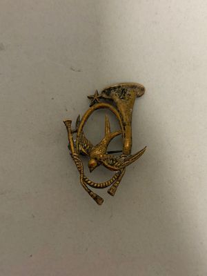 Ordres et Décorations. Insigne du 4ème groupe de chasseurs c…