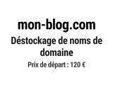 Photo 1/1 du lot
