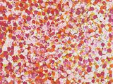 an image of a painting of a red and pink field of flowers