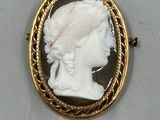 an image of a woman ' s profile is shown in a gold - plated broochle