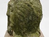 a moss covered head of a statue on top of a wooden block