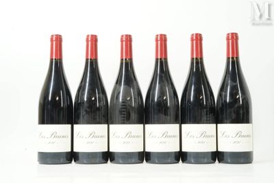 six bouteilles de vin rouge sont alignées sur une surface blanche