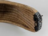 a close up of a piece of wood with a bug on it