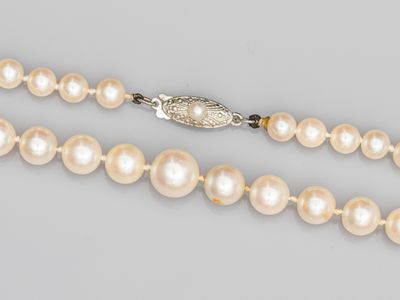 un collier de perles blanches muni d'un fermoir en argent, sur fond gris