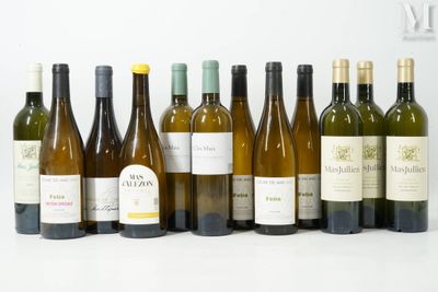 plusieurs bouteilles de vin sont alignées sur une surface blanche