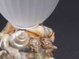 a vase with shells on top of it on a table