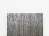 une image représentant une photo en noir et blanc d'arbres dans la neige