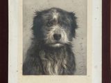 Une vieille photo montrant un chien assis devant un immeuble