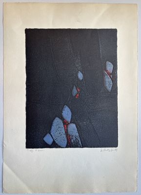 a picture of a picture of two butterflies on the ground