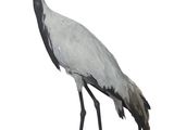 une statue représentant une grue posée sur un socle en bois